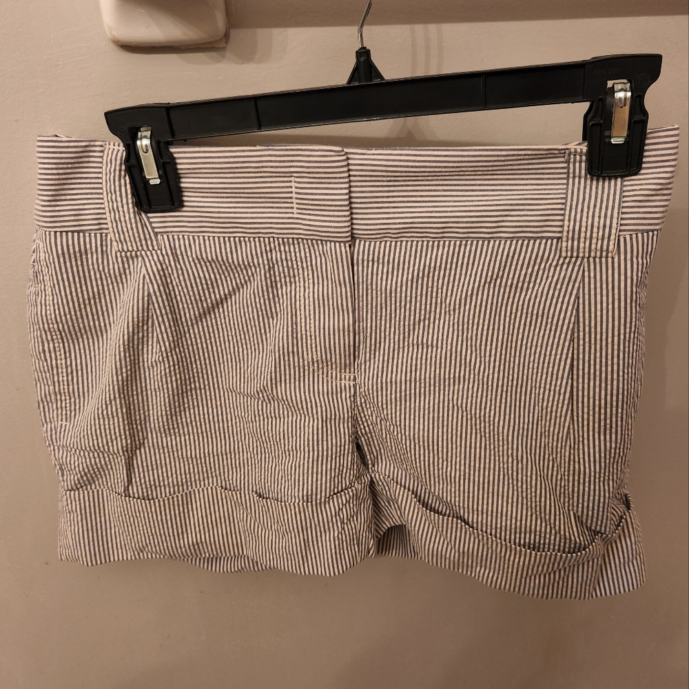 J Crew | J Crew Women's Shorts | White with Navy Stripes